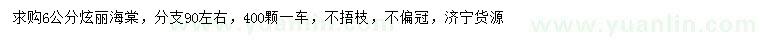 求購6公分炫麗海棠