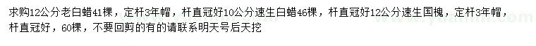 求購老白蠟、速生白蠟、速生國槐