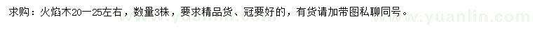 求購20-25公分左右火焰木