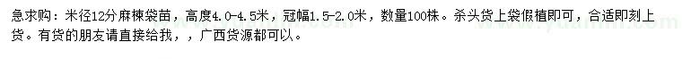 求購米徑12公分麻楝