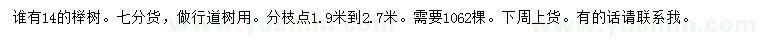 求購14公分櫸樹