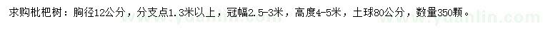 求購(gòu)胸徑12公分枇杷樹(shù)