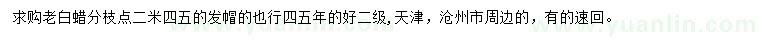 求購老白蠟