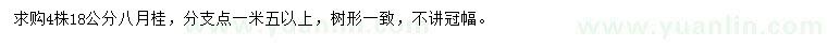 求購(gòu)18公分八月桂
