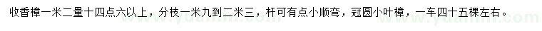 求購(gòu)1.2米量14.6公分以上香樟、小葉樟