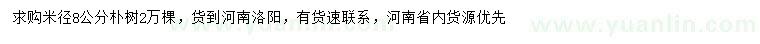 求購(gòu)米徑8公分樸樹
