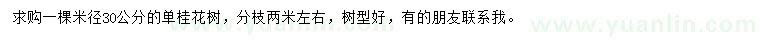 求購米徑30公分丹桂