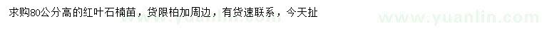 求購高80公分紅葉石楠