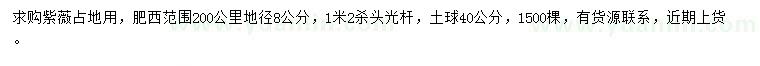 求購地徑8公分紫薇