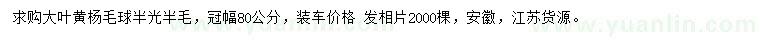 求購(gòu)冠幅80公分大葉黃楊毛球