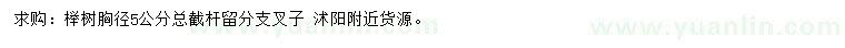 求購胸徑5公分櫸樹
