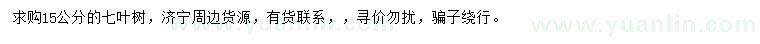 求購15公分七葉樹