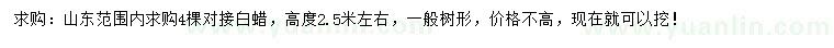 求購高2.5米左右對(duì)接白蠟
