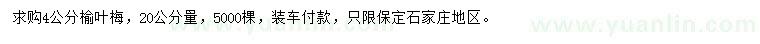 求購(gòu)20公分量4公分榆葉梅