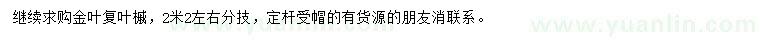 求購金葉復(fù)葉槭