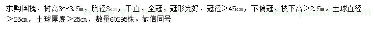 求購胸徑3公分國槐