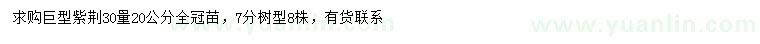 求購30量20公分紫荊