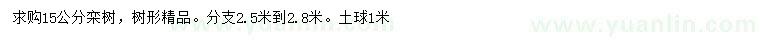 求購(gòu)15公分欒樹