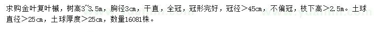 求購(gòu)胸徑3公分金葉復(fù)葉槭