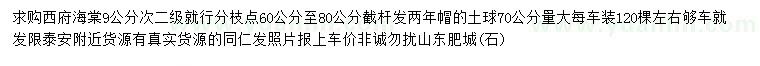 求購9公分西府海棠