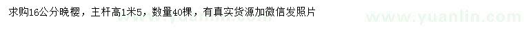 求購(gòu)16公分晚櫻