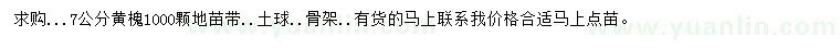 求購7公分黃槐
