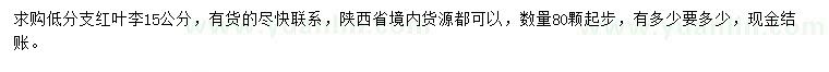 求購15公分紅葉李