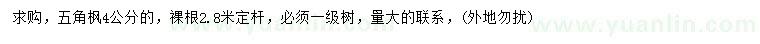求購(gòu)4公分五角楓