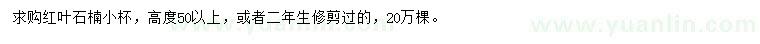 求購高50公分以上紅葉石楠