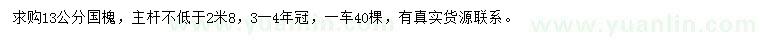 求購(gòu)13公分國(guó)槐