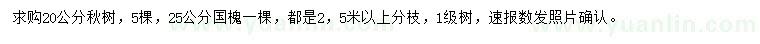 求購20公分楸樹、25公分國槐