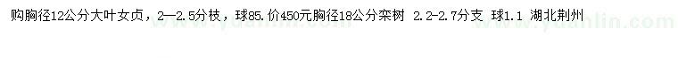 求購胸徑12公分大葉女貞、胸徑18公分欒樹