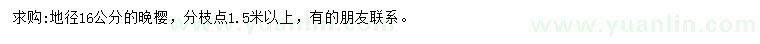 求購地徑16公分晚櫻