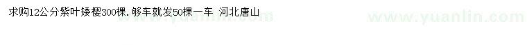 求購(gòu)12公分紫葉矮櫻3