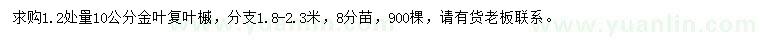 求購胸徑10公分金葉復(fù)葉槭