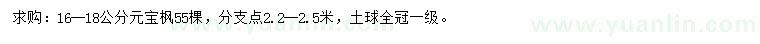 求購16-18公分元寶楓