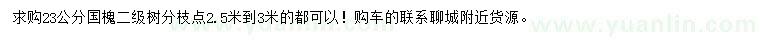 求購(gòu)23公分國(guó)槐