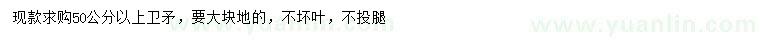 求購(gòu)50公分以上衛(wèi)矛