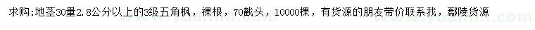 求購30量2.8公分以上五角楓