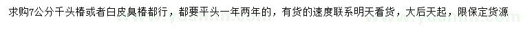 求購7公分千頭椿、白皮臭椿