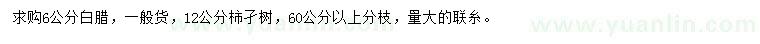 求購(gòu)6公分白蠟、12公分柿子樹(shù)