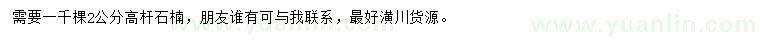 求購(gòu)2公分高桿石楠