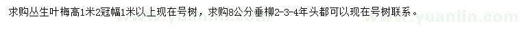 求購高1.2米叢生葉梅、8公分垂柳