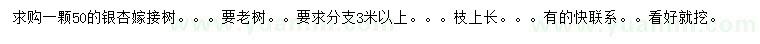 求購50公分銀杏
