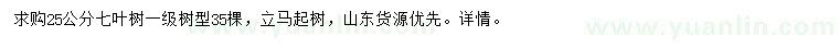 求購25公分七葉樹