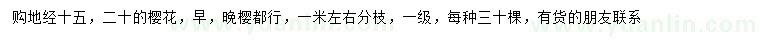 求購地徑15、20公分櫻花
