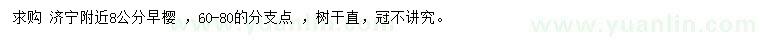 求購(gòu)8公分早櫻
