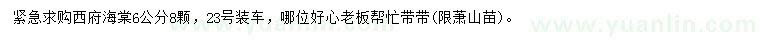 求購6公分西府海棠