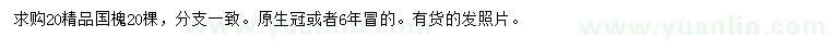 求購(gòu)20公分國(guó)槐