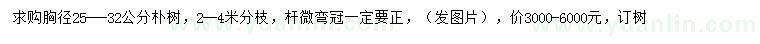 求購胸徑25-32公分樸樹